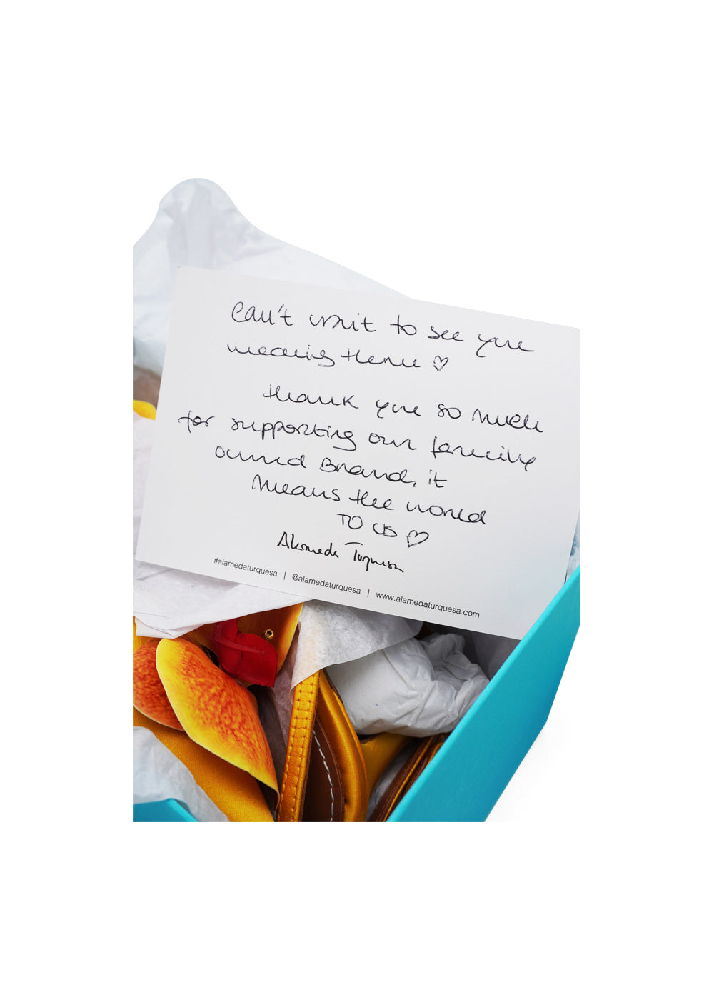 Alameda Turquesa “Mirabel” Orchid–Embellished Satin Pumps – 70mm