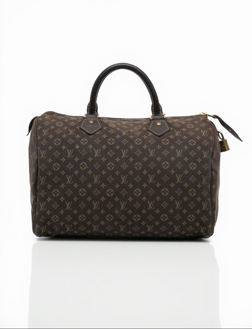 Louis Vuitton Monogram Mini Lin 30 Speedy