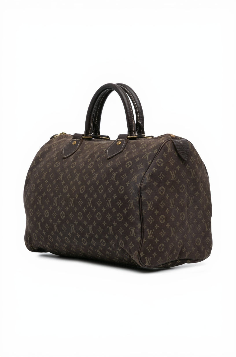 Louis Vuitton Monogram Mini Lin 30 Speedy