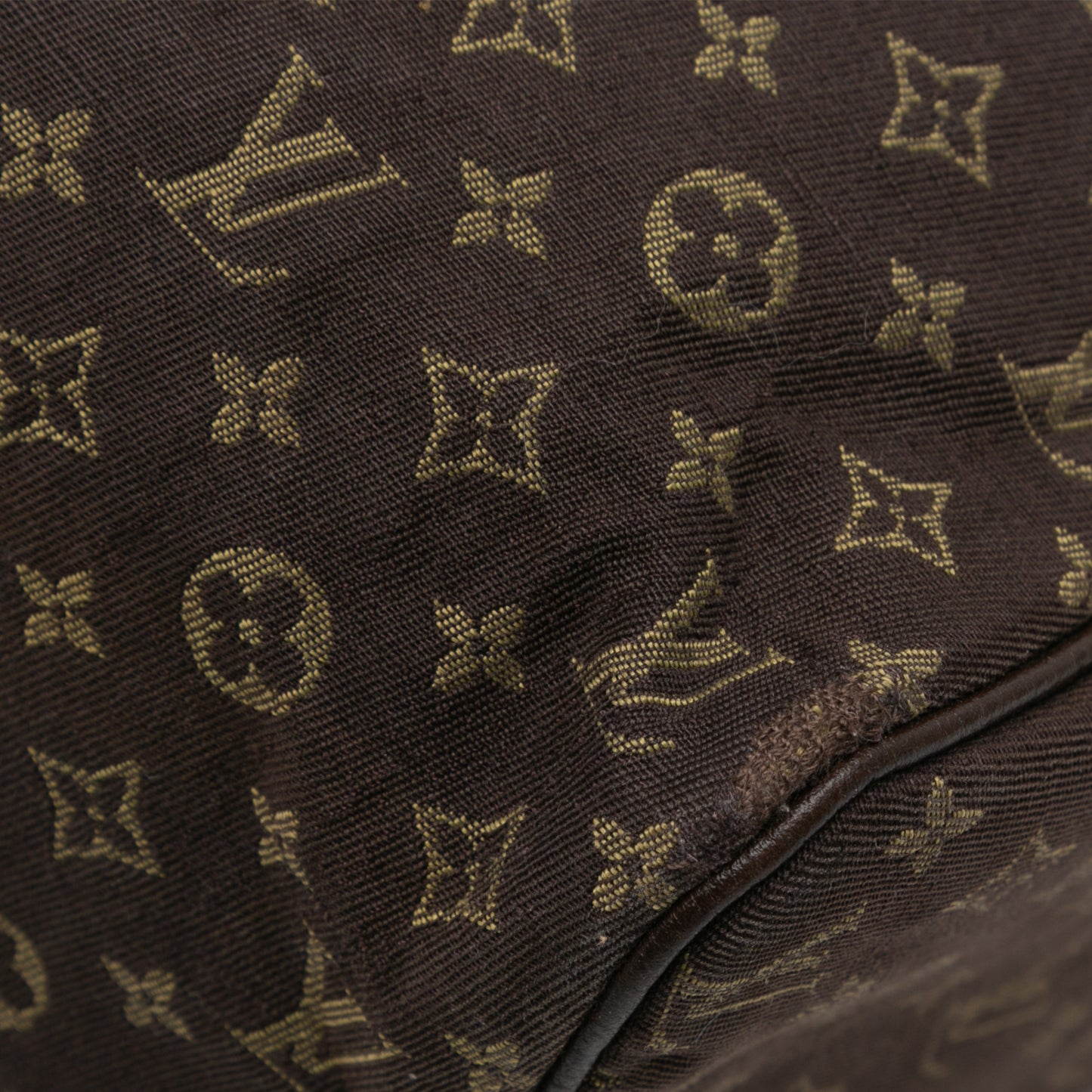 Louis Vuitton Monogram Mini Lin 30 Speedy